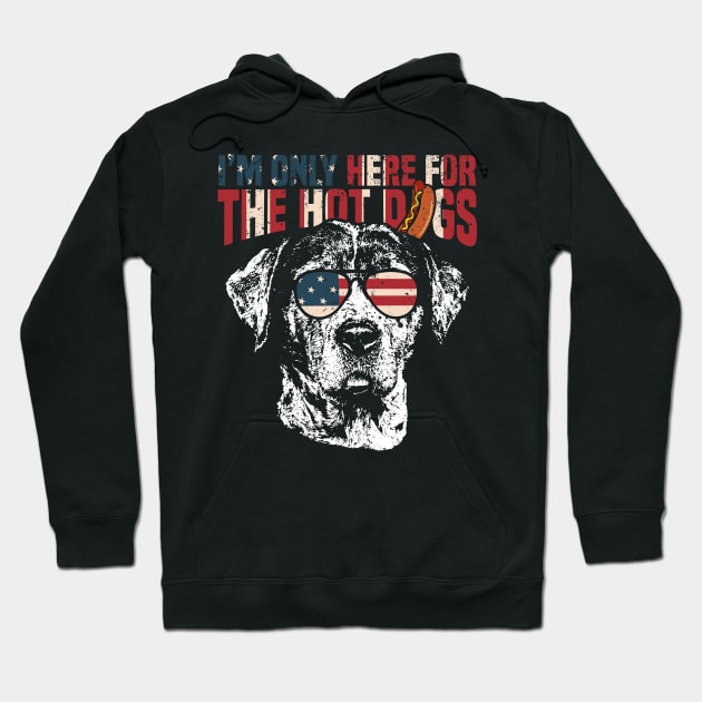 Catahoula Cur Shirt Funny 4th of July Hoodie by Madfido